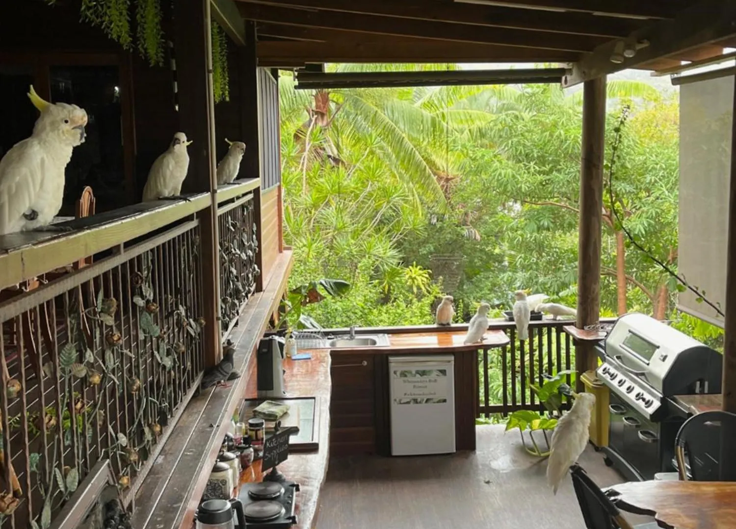 Bed & Breakfast Whitsundays Bnb Retreat Airlie Beach